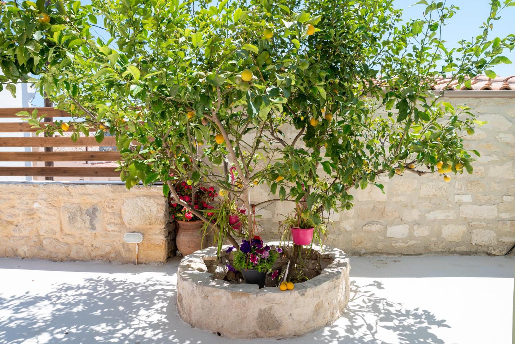 Calliope'S House In Knossos Villa Buitenkant foto